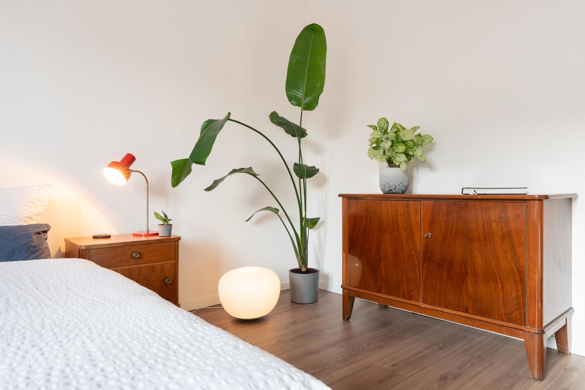 Luxurioeses Apartment, 10Min Innenstadt, Parkplatz إرفورت المظهر الخارجي الصورة